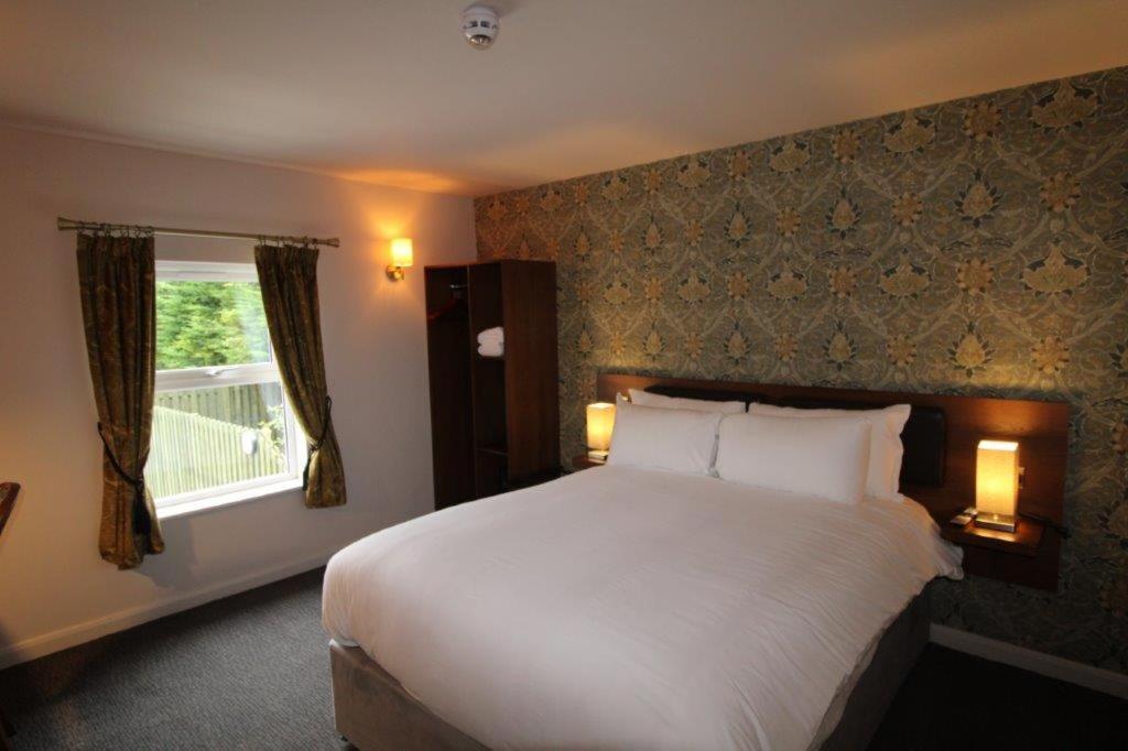 Rooms @ The Dolau Inn New Quay  Exterior photo